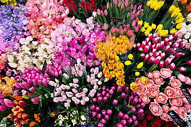 万代南梦宫对《装甲核心6》信心十足 销售将远超前作