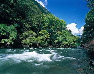 国外玩家用AI技术打造真人《街头霸王2》电影剧照